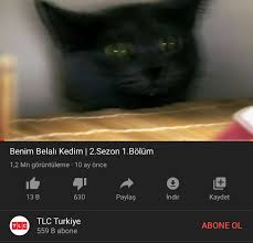 Elif Tutuncu Pa Twitter Napim Canim Sanat Filmi Izliyorum Ben De Aynen Fransiz Yeni Dalgasi Ndan