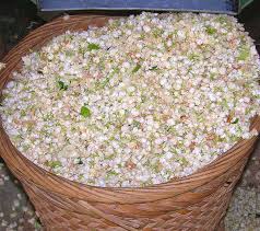 We did not find results for: Basket Of Jasmine Flowers And Tea Leaves Ratetea Images