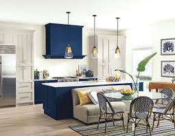 sherwin williams' color of the year has