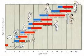 motor development chart