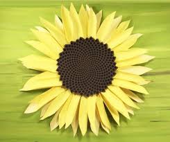 Free Free 76 Sunflower Center Svg SVG PNG EPS DXF File