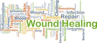 The Principles Of Wound Bed Preparation And Time Woundsource