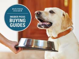 Best Dog Foods In 2020 That They Ll Love Business Insider Best Dog Food Dog Food Recipes Best Dog Food Brands