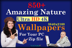 338,000+ vectors, stock photos & psd files. 850 Amazing Nature Ultra Hd 4k Wallpapers For Pc Zip File
