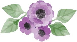 We provide millions of free to download high definition png images. Free Acquerello Di Fiori 1190645 Png With Transparent Background