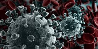 Davon ausgenommen sind personen, die vollständig geimpft oder genesen sind. Coronavirus University Of Basel
