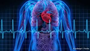 Herzrhythmusstörungen sind abweichungen vom normalen herzrhythmus. Herzrhythmusstorungen Was Man Wissen Muss Netdoktor
