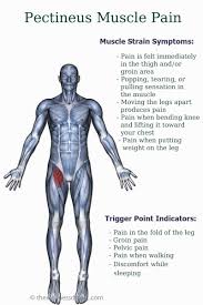 Pin On Legs