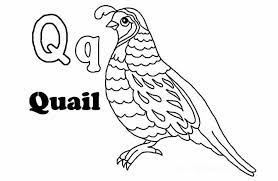 See more ideas about color activities, activities for kids, activities. Quail Coloring Pages For Preschool Preschool And Kindergarten Free Printable Alphabet Letters Coloring Pages Cool Coloring Pages