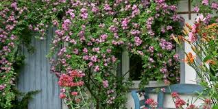 Mitglieder der ärztekammer niedersachsen erhalten auf antrag einen arztausweis. 2019 Erneut Offene Garten In Der Prignitz