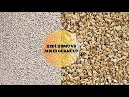 Muhabbet Kusu Kafesinde Kotu Kokuya Son Cam Peleti Misir Granulu Youtube