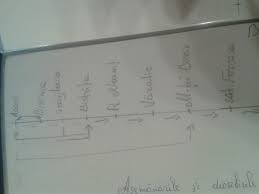 Patrimoniul întreprinzătorului individual se formează pe baza bunurilor cetăţeanului (familiei) şi altor surse care nu sunt interzise de legislaţie. Baltagul Exercitiu Spatiul In Care Se Desfasoara Actiunea Este Foarte Larg Iar Itinerarul Brainly Ro