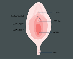 Check spelling or type a new query. Lower Urinary Tract Symptoms How To Tell If It S Really Uti