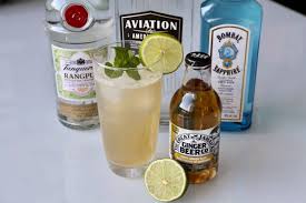 Shake, and double strain into a mule cup. Moscow Mule With Gin Cocktail Drink Recipe Dobbernationloves