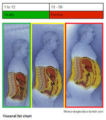 Visceral Fat May Work Against The Alzheimers Diet The Ad