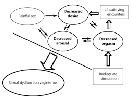 Female Sexual Dysfunction Evaluation And Treatment
