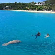 Manatee At Crashboat Beach Aguadilla Puerto Rico By Yanameel On Instagram Crashboat Beach Aguadilla Puerto Rico