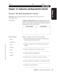 Chapter 16 Endocrine And Reproductive Health