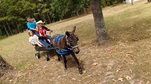 Profile for Doby's TLC Ranch