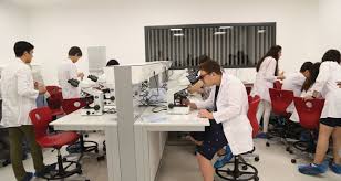 Aydın üniversitesi diş hekimliği 2. Istanbul Aydin Universitesi Nden Lise Ogrencilerine Yaz Okulu