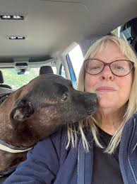 First camping trip in my caddy maxi & loved it (despite the crazy weather!)  Dotty dog was in her element 🤣