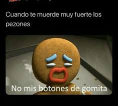 Pin De Laraecheverria Polaris En Funny En 2020 Memes Divertidos Gatos Cool Memes Graciosos