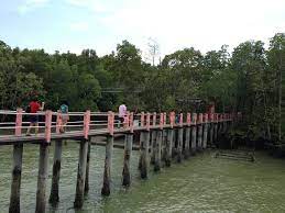 Menurut warta kerajaan johor itu, pembatalan keseluruhan kawasan yang diisytiharkan sebagai kawasan taman negara pulau kukup berdasarkan kuasa diberi mengikut subseksyen 3(3) enakmen perbadanan taman negara johor (1989). Taman Negara Johor Pulau Kukup Johor Taman Negara Places To Visit