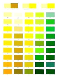 yellow paint colors color charts interior paints house with