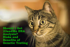 The future of feline dna testing is here. Risks And Benefits Of 23andme Dna Analysis A Personal Experience Patient S Lounge Patient Medical Experiences