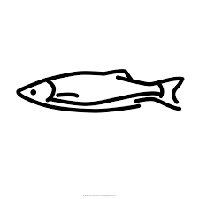Large mouth bass fish that has just been caught. Bass Coloring Page Ultra Coloring Pages