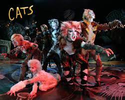 See A Broadway Musical Well Not On Broadway Exactly More Like On College St At The Majestic Cats Musical Broadway History Musicals