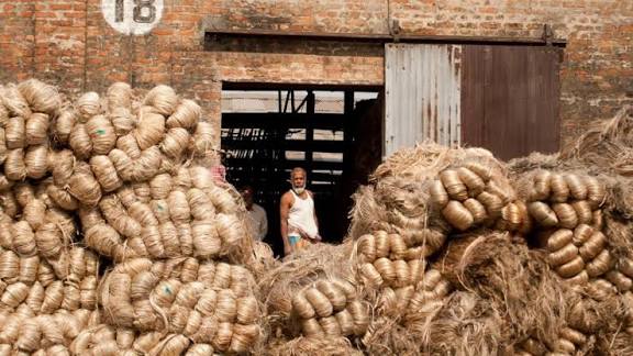 Bengal: Jute Industry Reeling in Deep Crisis | NewsClick