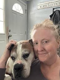 Pigeon Rescue Efforts and Comfort