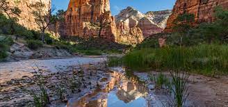 The park's ecosystems support about 800 native plant species, including more flowers than anywhere else in utah. Zion National Park Ut Train Vacations Amtrak Vacations
