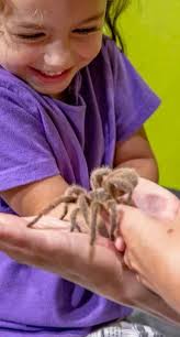 2022 Annual Report by butterflypavilionCO