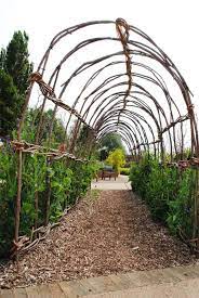 Community garden guide season extension. Garden Plant Support Tunnels Metal Titan Pea Tunnel High Tunnel Trellis Gardeners Com Plant Supports Are Support Structures That Help Manage The Way Plants And Flowers Grow Ensuring That They