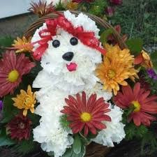 Beautiful flowers for whatever the occasion. Puppy Dog Basket In Roanoke Va Flowers By Eddie