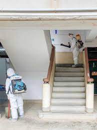 9:48 studentmedianet 78 985 просмотров. Chwwz Eyoizgzm