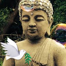 What to do when a sheep's placenta won't drop after giving birth?