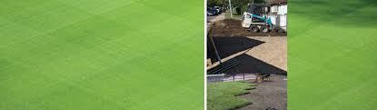Artificial turf is considerably more expensive than real grass, but it requires very little maintenance. Brisbane S Turf Specialists Turf Laying Sunshine Coast Welcome To Turfman Brisbane