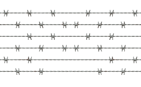 Barbwire Png Image Png Png Images Free Stock Photos
