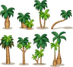 Check spelling or type a new query. Date Palm Tree Vector Free Vector Download 6 801 Free Vector For Commercial Use Format Ai Eps Cdr Svg Vector Illustration Graphic Art Design