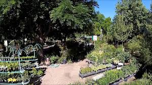 Northerntool.com has been visited by 100k+ users in the past month Greenhouse Garden Center Welcome To Greenhouse Garden Center And Nursery