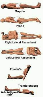 Med Hub - Anatomical position. | Facebook