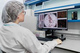 stem cells images?q=tbn:ANd9GcR4kdcEoiVmlwnTJWTzk7HlV4T7c_2xLf0VCw&s