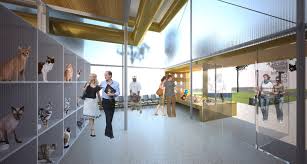 At animal care center of pasco county, we understand that pets are individuals with unique needs and should be treated as such. In Progress Staten Island Animal Care Center Garrison Architects Archdaily
