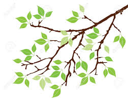 Vector Tree Branch With Leaves Tree Drawing Vector Trees Tree Stencil