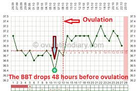 Determining Ovulation By Basal Body Temperature Works