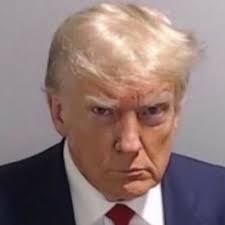 suzanne dombrowski (@suzannedombrows)