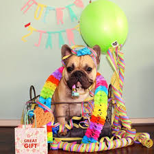Template for the design of cards for birthday and holidays. 20 Best Bulldog Happy Birthday Ideas Bulldog Bulldog Happy Birthday Cute Animals